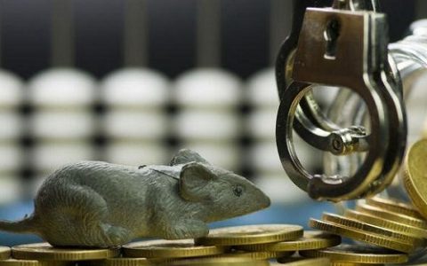 直播间喊单期货